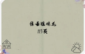 缉毒姐妹花